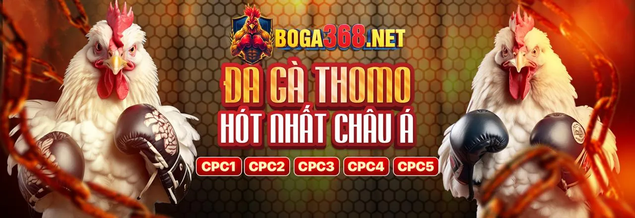 Các loại Mã SV8888 khác nhau